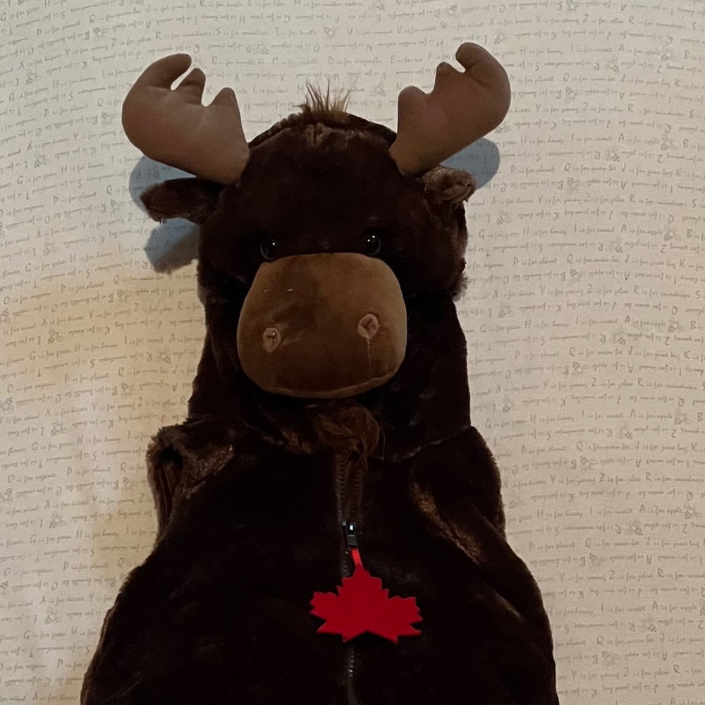 🫎Moose Halloween costume 🫎